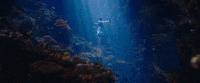 emily blunt GIF by Walt Disney Studios