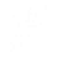 emilyjanebaker_ leaf emilyjanebaker Sticker