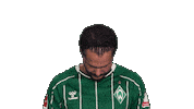 Werder Bremen Sticker by Bundesliga