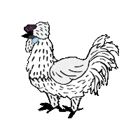 Chickens Silkies Sticker