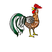 Gallo Hahn Sticker