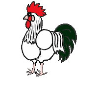 Rooster Sticker
