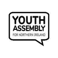 Northern Ireland Youth Assembly Sticker by niyouthassembly