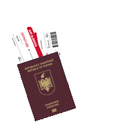 Travel Fly Sticker by Air Albania