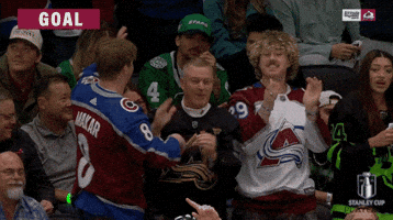 Happy Stanley Cup Playoffs GIF by NHL