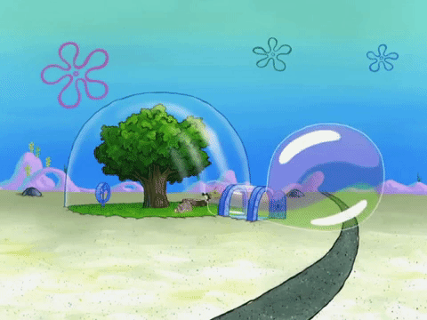 season 8 bubble troubles GIF by SpongeBob SquarePants