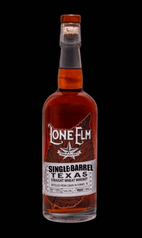 LoneElmWhiskey giphygifmaker cheers alcohol cocktail GIF