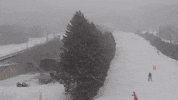 GIF by Blue Mountain Resort