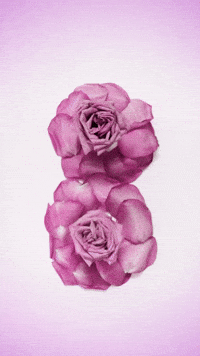 Stop Motion Women GIF by cintascotch