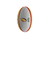 Rugby Match Sticker by RugbyBergamo