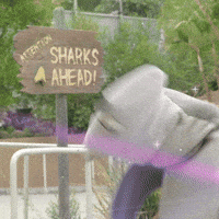 Dance Vibes GIF by Aquarium of the Pacific