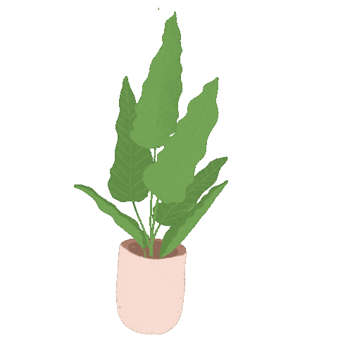 Rattenaa giphyupload flower plant tree Sticker