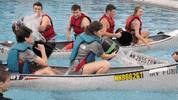 msum GIF by Minnesota State University Moorhead