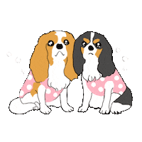 Dog Cavaliers Sticker