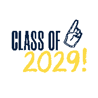 Class Of 2029 Sticker by Allegheny College