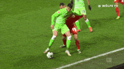 Football Sport GIF by VfL Wolfsburg