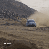 Racing Driving GIF by FIA World Rally Championship