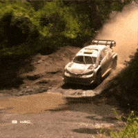 Wave Refreshing GIF by FIA World Rally Championship