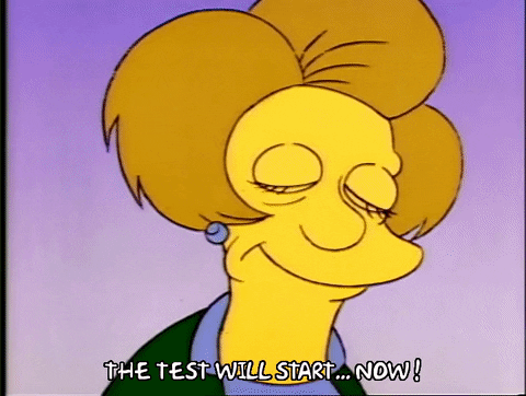 Season 1 GIF by The Simpsons