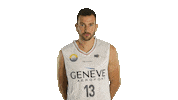 Basketball Ball Sticker by Lions de Genève