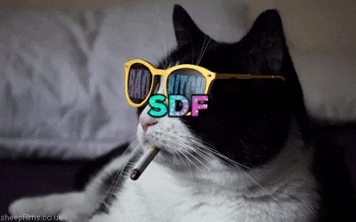 GIF by plusQA_test_partner