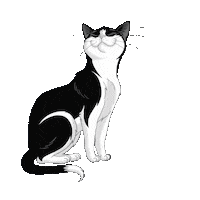 Sleepy Sweet Dreams Sticker by Purina Magyarország