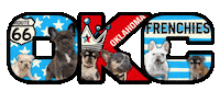 French Bulldog Oklahoma Sticker by OKC Frenchies