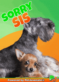 PetJuvenate petjuvenate henlo hooman fren love rescue dogs treatos and woofer for pupper GIF