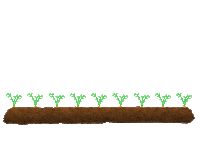 Carrot Agriculture Sticker by ASA-LIFT