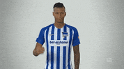 football ok GIF by Bundesliga