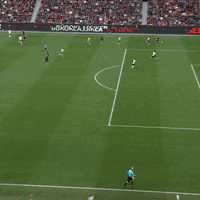 1 Fc Cologne Football GIF by 1. FC Köln