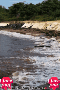 I Love Familia GIF by Murcianys LLC