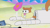 season 9 the fish bowl GIF by SpongeBob SquarePants