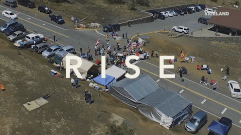 viceland GIF by RISE