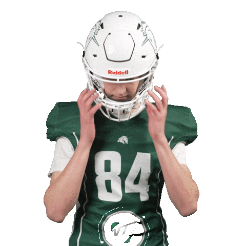 Unicornsfootball Sticker by Schwäbisch Hall Unicorns