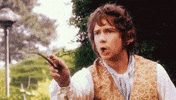 Lord Of The Rings No GIF