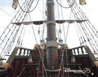 disneylandparis halloween omg running disneyland GIF