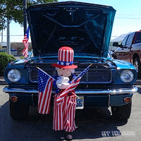 flags GIF by Off The Jacks