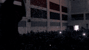 maydayparade music concert mayday parade maydayparade GIF