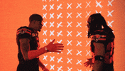 Football Celebration GIF by BC Lions