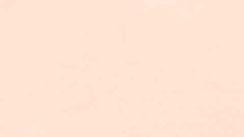 giphy.gif