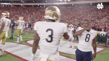 Notre Dame Handshake GIF by Notre Dame Fighting Irish