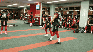 diontae spencer yes GIF by REDBLACKS