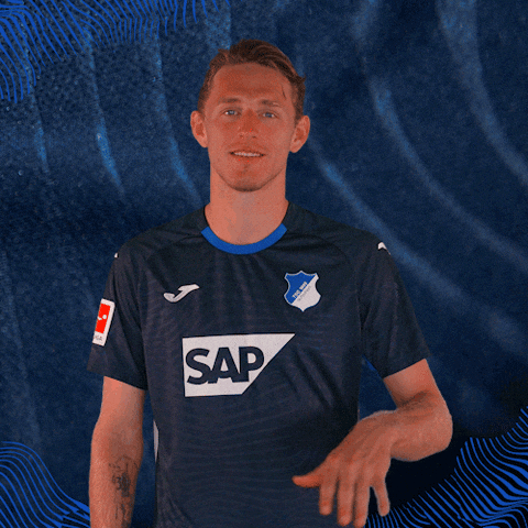 Sport Bundesliga GIF by TSG Hoffenheim