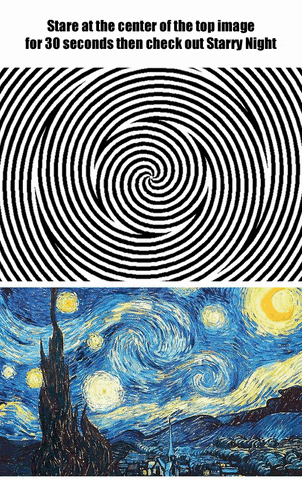 starry night spiral GIF by Cheezburger
