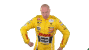 touring car Sticker by Tom Coronel