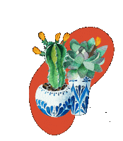 CeciLoel cactus succulent cacti cactus flower Sticker