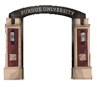 Black And Gold College Sticker by Purdue University
