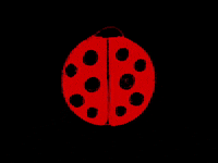 Red And Black Fun GIF by Barbara Pozzi