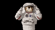 Look Moonboy GIF by Hoge Finance